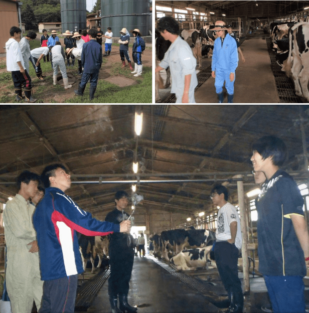 Agricultural core training(observation of airflow
					in a dairy barn by the smoke tester)