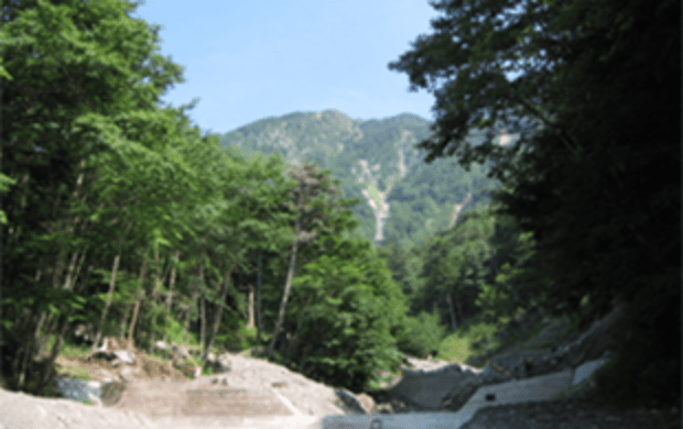 Overlooking Mt. Taro from the University forest in Nikko