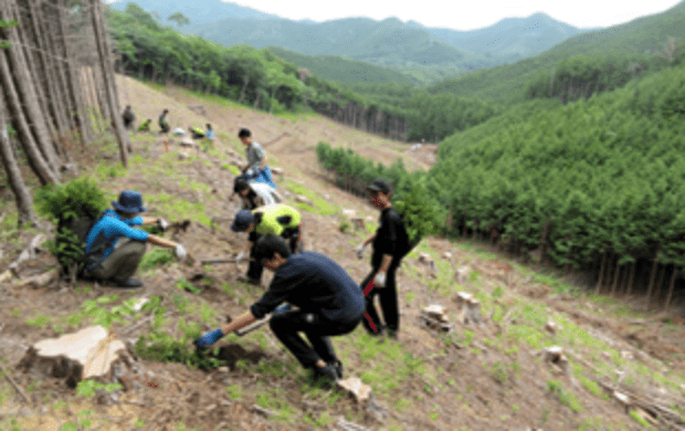 Agricultural core training (Afforestation)