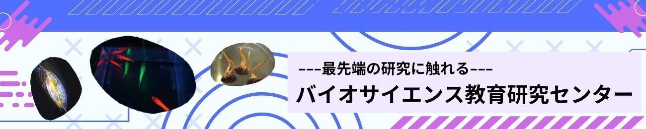 オンライン学部説明会