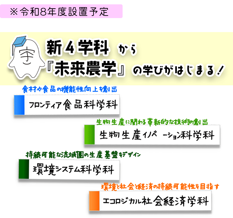 新4学科
